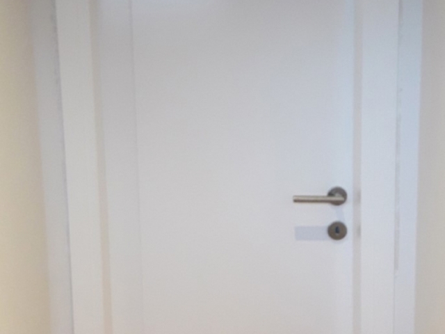 Puerta Interior con buñas